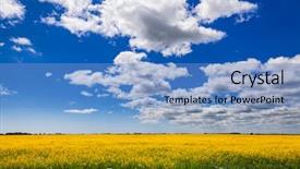  Presentation with vegetable oil - Theme having england uk rapeseed aka oilseed background and a  colored foreground