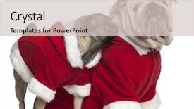  Presentation with english literature vintage - Presentation theme having english bulldog and pug wearing background and a lemonade colored foreground