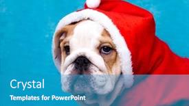  Presentation with english bulldog - Slides featuring english-bulldog-in-red-christmas background and a teal colored foreground