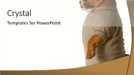  Presentation with english food - Cool new slide set with english bulldog looking down backdrop and a white colored foreground