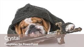  Presentation with english bulldog - Colorful PPT layouts enhanced with english bulldog wearing knight costume backdrop and a gray colored foreground