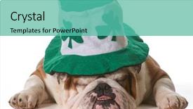  Presentation with st patricks day - Colorful presentation enhanced with wearing st patrick's day backdrop and a teal colored foreground