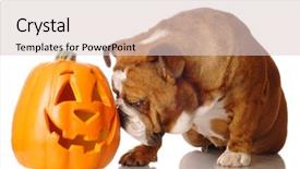  Presentation with red and white festive - Audience pleasing presentation theme consisting of halloween dog - english bulldog with festive cutout backdrop and a lemonade colored foreground