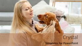  Presentation with english - Presentation design consisting of english-cocker-spaniel-dog background and a coral colored foreground