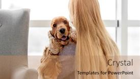  Presentation with english - Slide deck featuring english-cocker-spaniel-dog background and a coral colored foreground