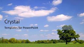  Presentation with oak tree - Presentation theme consisting of english countryside - old oak tree background and a light blue colored foreground