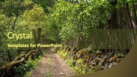  Presentation with summer flowers - PPT theme consisting of english countryside - road in the forest background and a tawny brown colored foreground