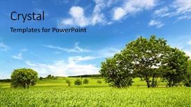  Presentation with spring - Cool new theme with english countryside - spring landscape backdrop and a teal colored foreground