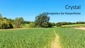  Presentation with english - Audience pleasing slides consisting of english countryside landscape with trees backdrop and a light blue colored foreground