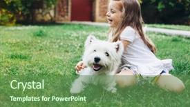  Presentation with english - Slide deck with grass in the backyard background and a tawny brown colored foreground