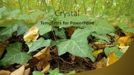  Presentation with ivy - Amazing PPT theme having english ivy backdrop and a yellow colored foreground