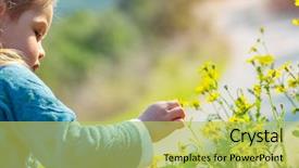  Presentation with free child brain - Slides enhanced with enjoying fresh little yellow wildflowers background and a yellow colored foreground