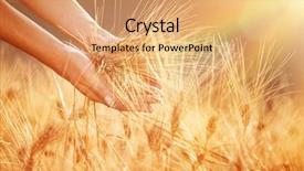  Presentation with golden woman - Beautiful presentation design featuring enjoying golden wheat field woman' backdrop and a coral colored foreground