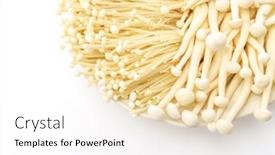  Presentation with mushroom - Amazing PPT layouts having enoki mushroom and beech mushrooms on the white background backdrop and a white colored foreground