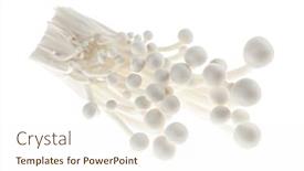  Presentation with bunch - PPT layouts having enoki mushrooms bunch isolated on white background closeup background and a cream colored foreground