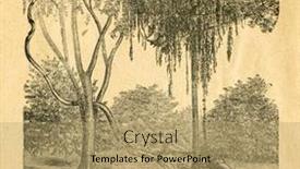  Presentation with liana - Audience pleasing presentation design consisting of entada-liana-old-illustration backdrop and a coral colored foreground