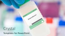  Presentation with gastrointestinal - PPT theme featuring enterobacter-bacteria-a-bacteria-commonly background and a cool aqua colored foreground