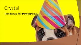  Presentation with forward - PPT theme enhanced with enthusiastic-english-bulldog-puppy-wearing background and a white colored foreground