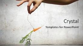  Presentation with rope - Presentation theme enhanced with enticing - close up of hand holding background and a light gray colored foreground