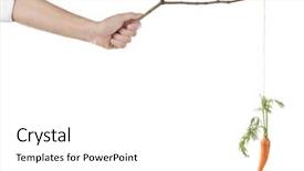  Presentation with motivation - Amazing presentation having enticing - motivation concept of hanging carrot backdrop and a white colored foreground