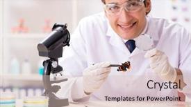  Presentation with butterfly - Beautiful presentation design featuring entomological - scientist entomologist studying new butterfly backdrop and a lemonade colored foreground