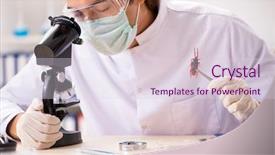  Presentation with lab animal - PPT theme having entomologist working in the lab background and a sky blue colored foreground