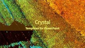  Presentation with entomology - Colorful presentation design enhanced with entomology - beautiful iridescent wing backdrop and a tawny brown colored foreground