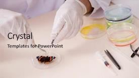  Presentation with entomology - Audience pleasing PPT layouts consisting of entomology - scientist entomologist studying new butterfly backdrop and a lemonade colored foreground