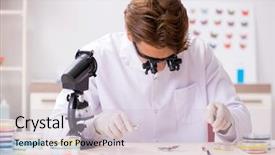  Presentation with butterfly - Slide set with entomology - scientist entomologist studying new butterfly background and a lemonade colored foreground