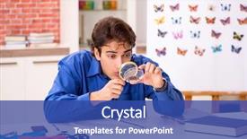  Presentation with student - Beautiful slides featuring entomology - student entomologist studying new species backdrop and a ocean colored foreground