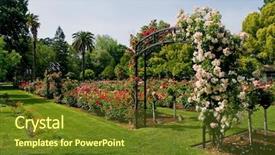  Presentation with eden - Cool new presentation theme with entrance to rose garden backdrop and a tawny brown colored foreground