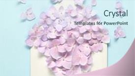  Presentation with hydrangea - Audience pleasing presentation consisting of envelope opening - opened envelop with hydrangea flower backdrop and a sky blue colored foreground