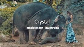  Presentation with fine art - Presentation with enviroment - fine art fashion image background and a dark gray colored foreground