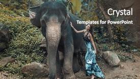  Presentation with fine art - Cool new PPT layouts with enviroment - fine art fashion image backdrop and a dark gray colored foreground