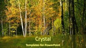  Presentation with waving palm branches - PPT theme having enviromental - yellow foliage and branches background and a  colored foreground