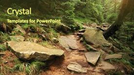  Presentation with forest beautiful spring nature - PPT theme having one blue parrot budgies bird background and a  colored foreground.