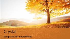  Presentation with awesome - Slides enhanced with environment - awesome image of the shiny background and a gold colored foreground