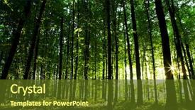  Presentation with beautiful green - Colorful PPT theme enhanced with environment - beautiful green forest backdrop and a tawny brown colored foreground