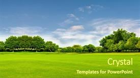  Presentation with environment - Presentation theme enhanced with environment - green field tree and blue background and a gold colored foreground