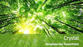  Presentation with environment - Amazing PPT theme having environment - green forest background backdrop and a tawny brown colored foreground