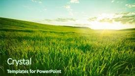  Presentation with meadow - PPT layouts having environment - green meadow under blue sky background and a forest green colored foreground