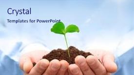  Presentation with plant ecology - Presentation theme featuring environment - man hands holding green plant background and a sky blue colored foreground