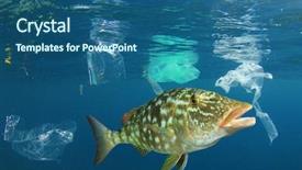  Presentation with plastic bags - Presentation theme featuring environment - plastic ocean fish among plastic background and a ocean colored foreground