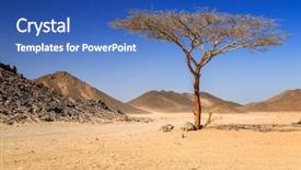  Presentation with egypt - Presentation theme having environment - scenery of the african desert background and a teal colored foreground