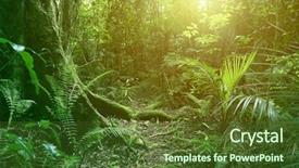  Presentation with jungle - PPT theme with environment - sunlight shining in tropical jungle background and a tawny brown colored foreground