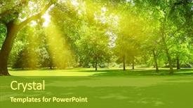  Presentation with environment - Colorful PPT layouts enhanced with environment - sunrise beam in the beautiful backdrop and a tawny brown colored foreground