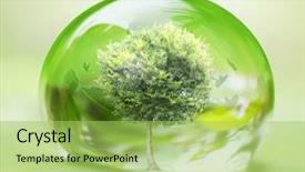  Presentation with water environment - Audience pleasing presentation design consisting of environment - tree in water drop backdrop and a yellow colored foreground