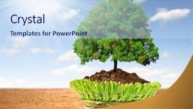  Presentation with growing tree - Slide deck with growing apple tree in decorative background and a sky blue colored foreground