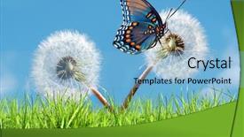  Presentation with spring - Presentation design having environment concept - spring time conceptual image background and a light blue colored foreground