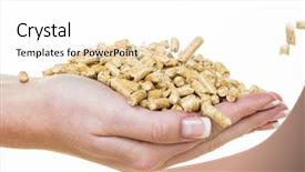  Presentation with alternative energy - Amazing PPT layouts having supply demand - hand with pellets as alternative backdrop and a white colored foreground